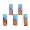 Resin & Walnut Wood Pendants RESI-S389-059B-2