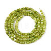 Natural Freshwater Shell Dyed Beads Strands SHEL-T020-29B-04-2