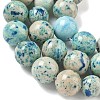 Natural Fossil Graduated Beads Strands G-F830-A03-01E-5