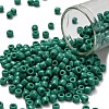 TOHO 6/0 Round Beads SEED-TR06-0055D-1