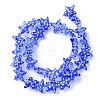 Handmade Lampwork Beads Strands LAMP-I027-09H-2