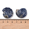 Natural Sodalite Conch Display Decorations DJEW-D303-01L-3