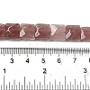 Natural Strawberry Quartz Beads Strands G-C109-A04-01-5