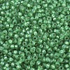 MIYUKI Round Rocailles Beads SEED-X0054-RR0646-2