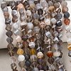 Natural Botswana Agate Beads Strands G-P611-C08-01-1