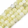 Natural Quartz Beads Strands G-S359-376H-1