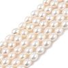 Natural Cultured Freshwater Pearl Beads Strands PEAR-I007-01D-02A-2