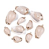 Electroplate Natural Spiral Shell Pendants SSHEL-Q100-51G-1