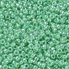 TOHO 6/0 Round Beads X-SEED-TR06-0144-3