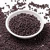 MIYUKI Round Rocailles Beads X-SEED-G008-RR0497-2