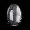 Transparent Oval Glass Cabochons X-GGLA-R022-30x20-4