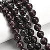 Natural Lepidolite/Purple Mica Stone Beads Strands G-H335-B03-10mm-A-1