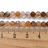 Natural Fossil Coral Beads Strands G-B099-C02-01-5