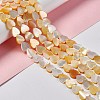 Natural Yellow Shell Beads Strands SHEL-F003-01B-2