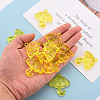 Transparent Acrylic Pendants TACR-T024-01B-916-5