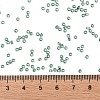 TOHO Round Seed Beads SEED-TR11-2202-4