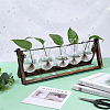 PET Bulb Shape Hydroponic Vase AJEW-WH0709-387B-4