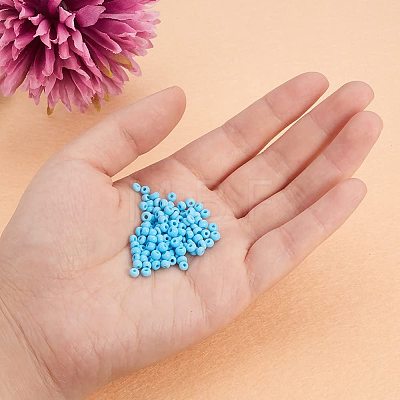 8/0 Round Glass Seed Beads SEED-PH0005-05-1