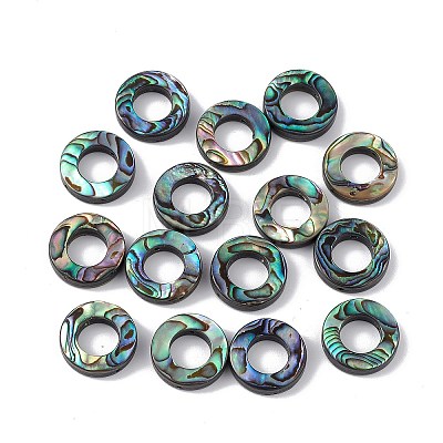 Natural Abalone Shell/Paua Shell Beads SSHEL-M021-06-1