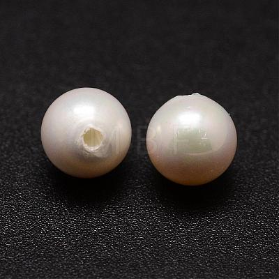Shell Pearl Beads BSHE-L031-01-8mm-1