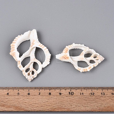 Natural Shell Big Pendants BSHE-T015-20-1