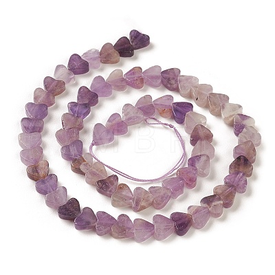 Natural Amethyst Beads Strands G-M403-A13-1