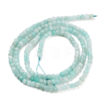 Natural Amazonite Beads Strands G-H042-B16-01-1