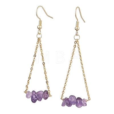 304 Stainless Steel with Natural Amethyst Dangle Earrings EJEW-JE06010-04-1