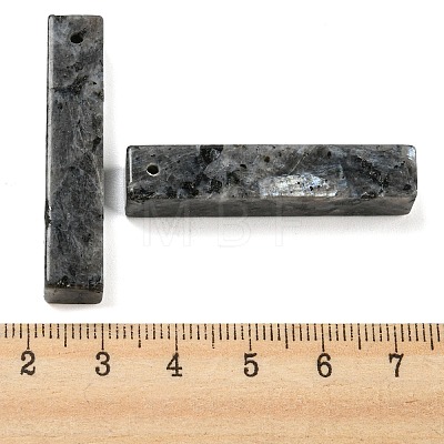 Natural Labradorite Pendants G-M417-02B-1