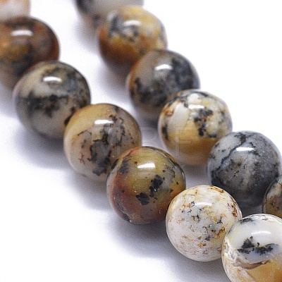 Natural Black Moss Jasper Beads Strands G-K293-F02-B-1