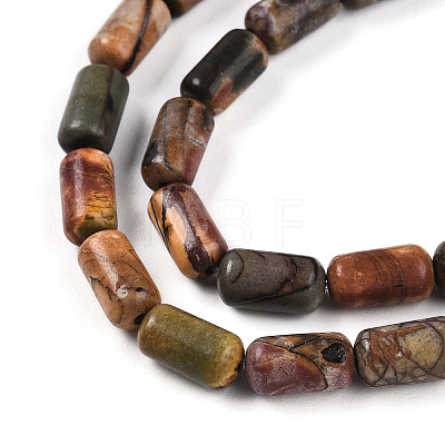 Natural Picasso Jasper/Polychrome Jasper Beads Strands G-N346-01A-05-1