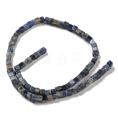 Natural Sodalite Beads Strands G-C084-E06-02-1