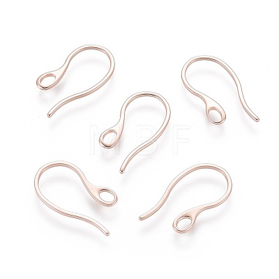 304 Stainless Steel Earring Hooks STAS-O110-19RG-1