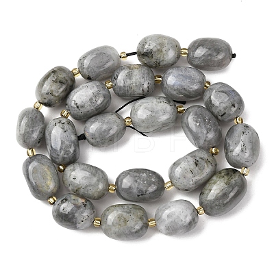 Natural Labradorite Beads Strands G-G453-D10-01-1