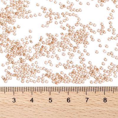 MIYUKI Round Rocailles Beads X-SEED-G009-RR1129-1