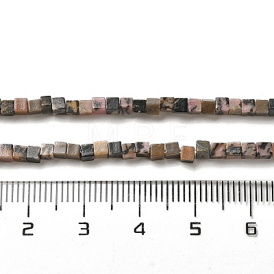 Natural Rhodonite Beads Strands G-B064-A31-1