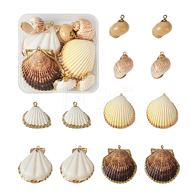 Craftdady 12Pcs 6 Style Shell Pendants DIY-CD0001-39-1