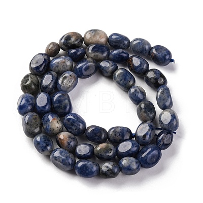 Natural Sodalite Beads Strands G-G146-A03-01-1