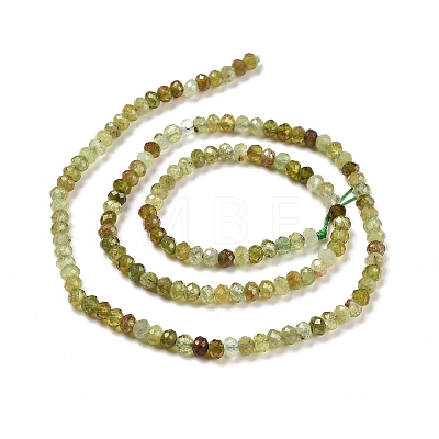 Natural Green Garnet Beads Strands G-E194-05-1