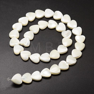 Natural Trochid Shell/Trochus Shell Beads Strands SSHEL-K012-01-A-1
