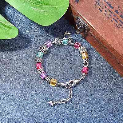   Tibetan Style Alloy European Beads TIBEB-PH0004-62AS-1