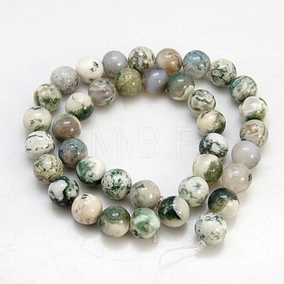 Natural Tree Agate Beads Strands X-G-H1633-10MM-1