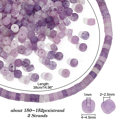   2 Strands Natural Lepidolite/Purple Mica Stone Beads Strands G-PH0002-30-1