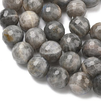 Natural Labradorite Beads Strands G-L642-F07-12mm-1
