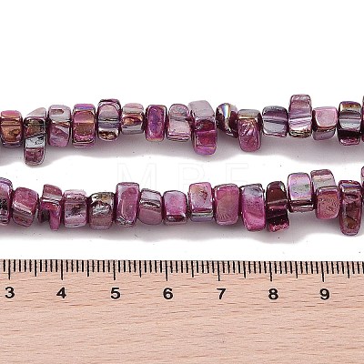 Natural Freshwater Shell Beads Strands BSHE-H018-07F-1
