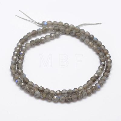 Natural Labradorite Beads Strands G-K209-05B-4mm-1