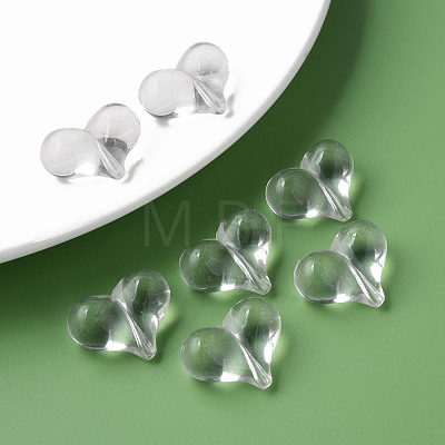 Transparent Acrylic Beads MACR-S373-70-B-1