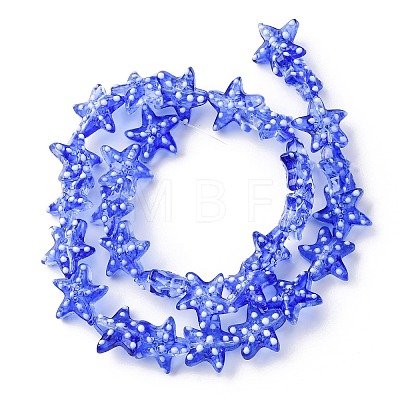 Handmade Lampwork Beads Strands LAMP-I027-09H-1