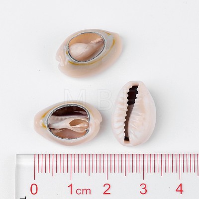 Natural Cowrie Shell Beads BSHE-S053-1