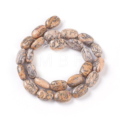 Natural Leopard skin Jasper Beads Strands G-I231-10-1